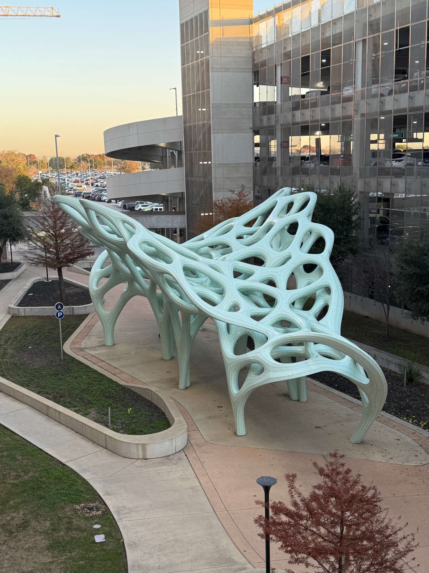 A large-scale public art sculpture in Austin, showcasing the organic forms and ambitious scale of the city's outdoor art program
